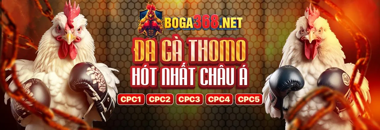 Giới thiệu về Gamvip Chính Thức