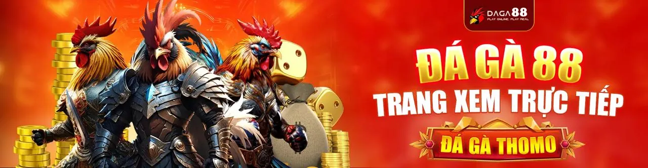 Hình ảnh sân vận động thể thao sôi động của Gamvip Chính Thức